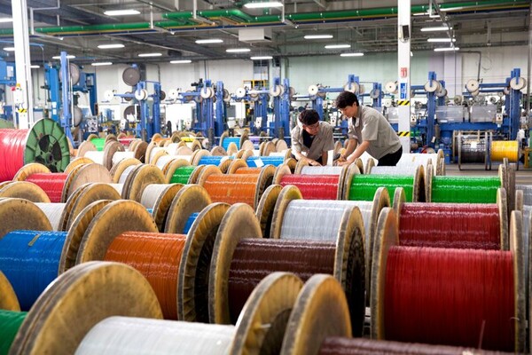 LS전선 직원들이 데이터 케이블을 생산하고 있다. / 사진=LS전선