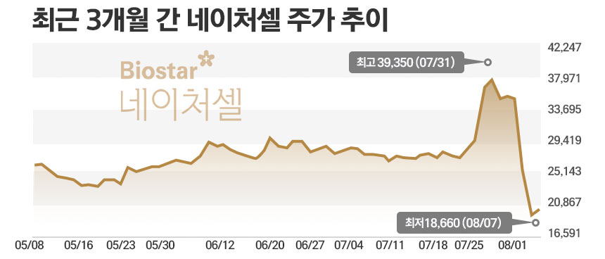 /그래픽=정승아 디자이너