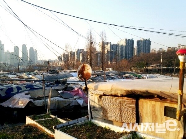 강남구 개포동 구룡마을 전경. / 사진=시사저널e DB