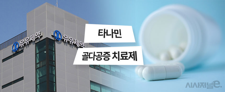 그래픽=정승아 디자이너