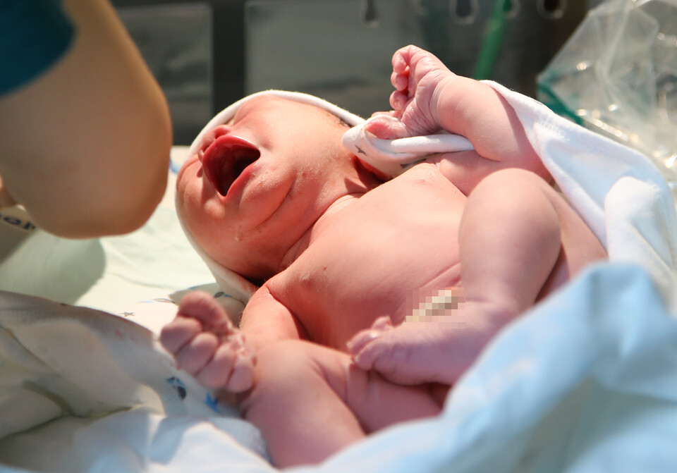 / 사진=연합뉴스