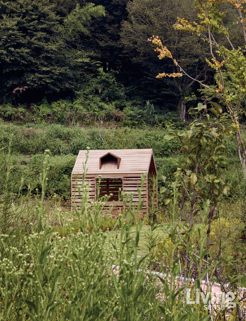 국립정원문화원은 정원의 다양한 모델을 경험할 수 있도록 여러 콘셉트의 정원을 마련했다. 정원전문관리사 교육생들이 조성한 ‘잎의 정원’ 너머로 작은 오두막이 보인다.