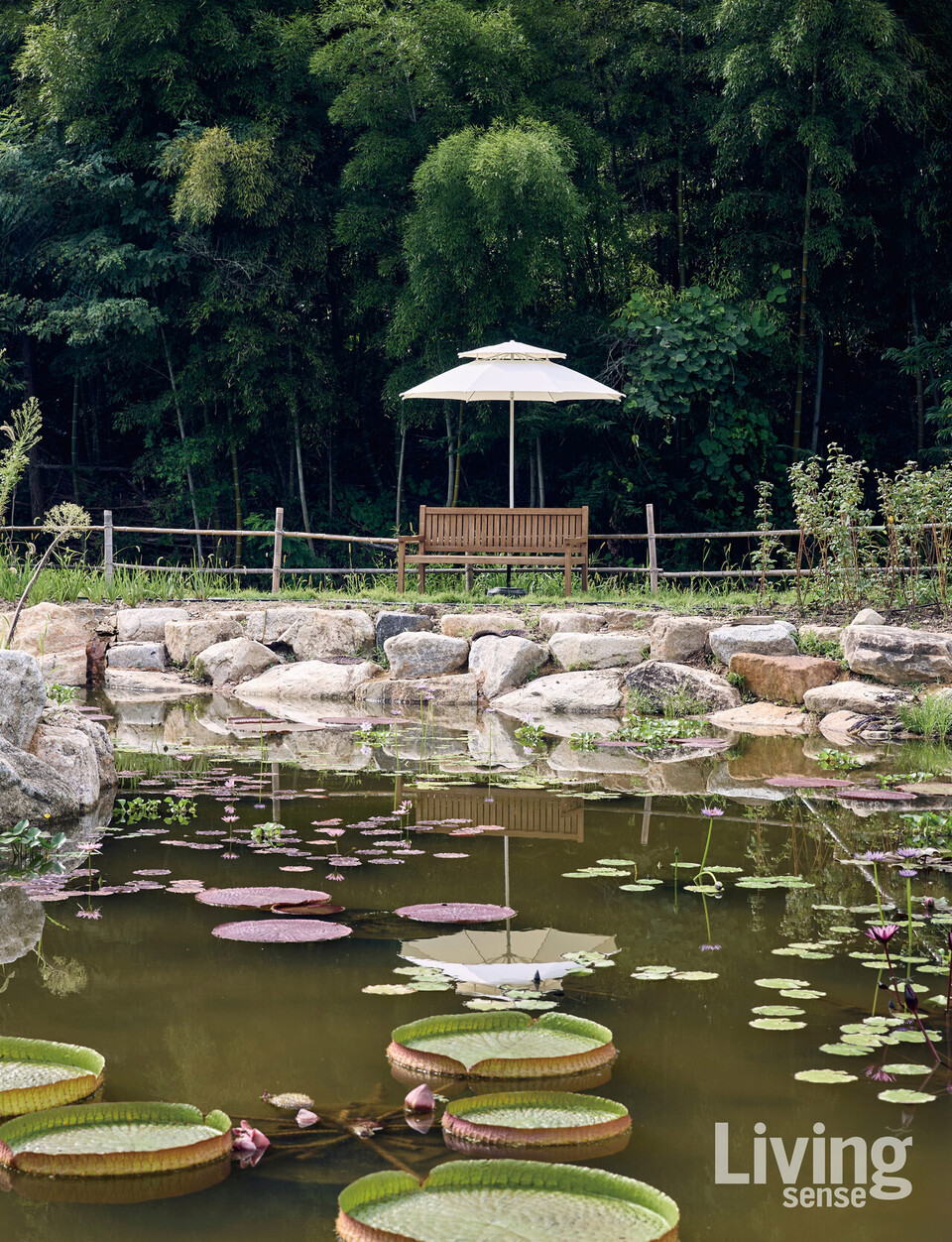 소담한 연꽃이 피어 있는 수생식물정원. 곳곳에 벤치를 두어 잠시 쉬어갈 수 있도록 꾸몄다.