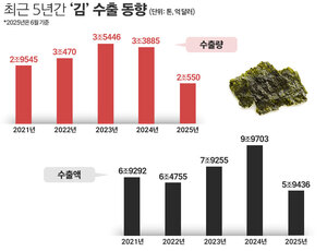 오리온도 참전···식품사들 '검은 반도체' 김에 꽂힌 이유 - 뉴스 썸네일 이미지