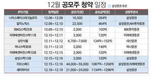 삼성증권, 12월 공모주 시장 주도···중형급 IPO 쏟아낸다 - 뉴스 썸네일 이미지