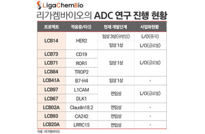 리가켐바이오, 주가 약세 지속···ADC 임상 자금 여력은 - 뉴스 썸네일 이미지