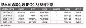 코스닥 중복상장 심사 올스톱···속타는 증권사들 - 뉴스 썸네일 이미지