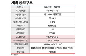 '뻥튀기 논란' 채비 공모청약 '강행'···증권사·FI는 '어쩔 수 없는 베... - 뉴스 썸네일 이미지
