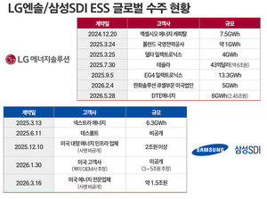 “없어서 못 팔아”···AI 데이터센터 전력난에 몸값 뛴 ESS