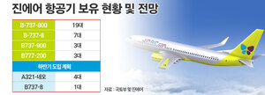 "수익성은 주춤하지만"···진에어, 통합 LCC 앞두고 체질 개선 - 뉴스 썸네일 이미지