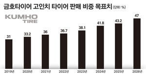 "가격 올리고 고인치 키우고"···금호타이어, EU 관세 장벽 넘는다 - 뉴스 썸네일 이미지