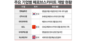 스페이스X 상장 앞두고 주목받는 페로브스카이트···상용화 경쟁 본격... - 뉴스 썸네일 이미지