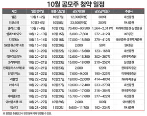 10월 공모주 쏟아진다···'7연승'에 릴레이 청약 열풍 펼쳐지나 - 뉴스 썸네일 이미지